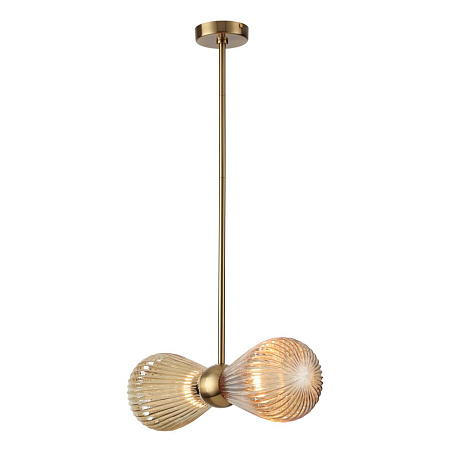 Светильник потолочный Odeon Light Elica 5402/2