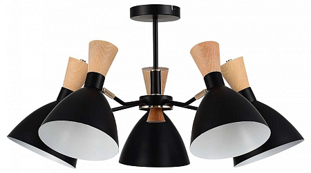 Люстра потолочная Evoluce VISTA SLE1256-402-05