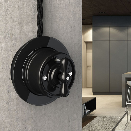 Переключатель одноклавишный черный Ретро Werkel Ретро W5612008 4690389166716 a051454 Переключатель одноклавишный черный Ретро Werkel Ретро W5612008 4690389166716 a051454