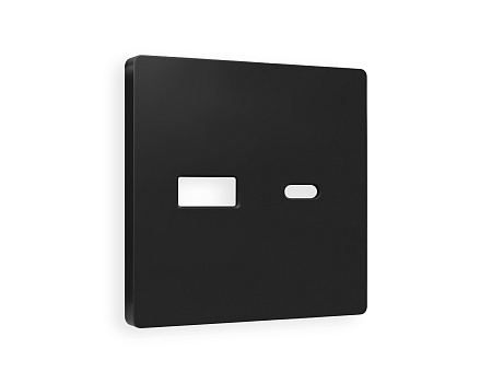 Лицевая панель для розетки 2USB тип A+C QUANT Ambrella Volt ALFA AP8110