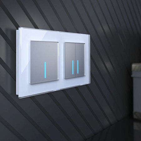 Сенсорный выключатель двухклавишный с подсветкой 1000 Вт Werkel W4520006 a057681