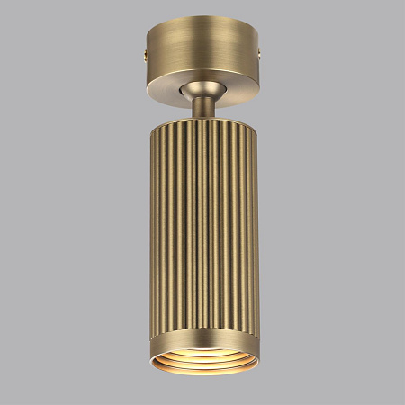Светильник потолочный Odeon Light MANCHESTER 7013/1C
