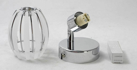 Спот Lussole Nelson GRLSP-0099