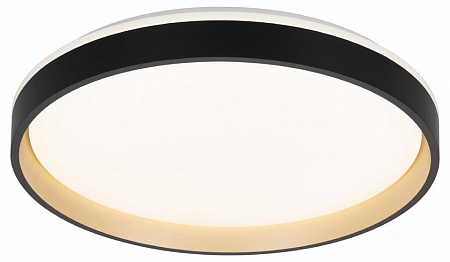 Светильник настенно-потолочный светодиодный Citilux ENZO CL753451G