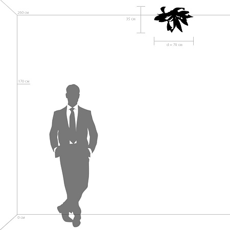 Потолочная люстра Lightstar Turbio 754169 Потолочная люстра Lightstar Turbio 754169