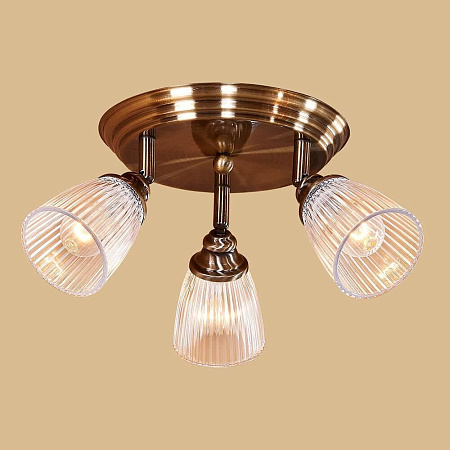 Спот Citilux Виндзор CL539631 Спот Citilux Виндзор CL539631