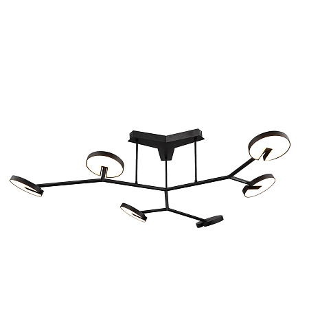 Люстра потолочная светодиодная Favourite Paritet 4401-6C Люстра потолочная светодиодная Favourite Paritet 4401-6C