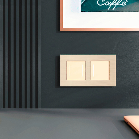 Рамка на 2 поста Werkel AluMax шампань W0023511 a066334 Рамка на 2 поста Werkel AluMax шампань W0023511 a066334