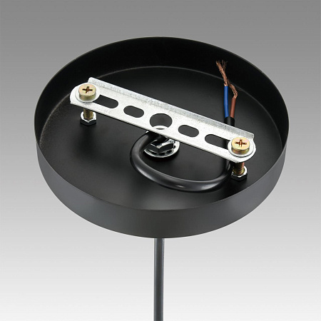 Светильник подвесной Lumion LEONELA 8052/1A Светильник подвесной Lumion LEONELA 8052/1A