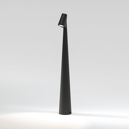 Настольная лампа светодиодная Elektrostandard Elite TL70250 черный a068070