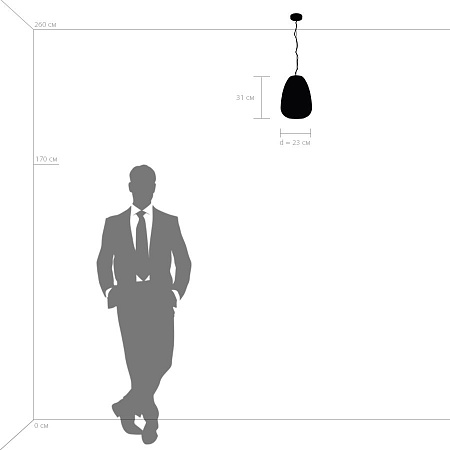 Подвесной светильник Lightstar Arnia 805012 Подвесной светильник Lightstar Arnia 805012