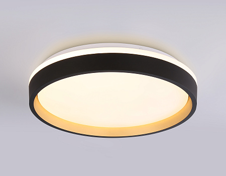 Светильник потолочный светодиодный Ambrella light FZ604