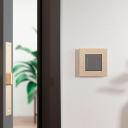 Рамка на 1 пост Werkel AluMax шампань W0013511 a066333