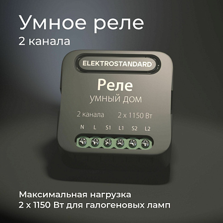 Умное двухканальное реле Elektrostandard 76007/00 a059326