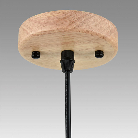 Светильник подвесной Lumion NATANA 8054/1A Светильник подвесной Lumion NATANA 8054/1A