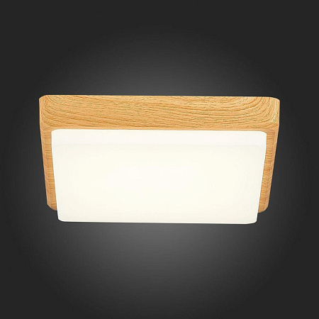 Потолочный светодиодный светильник Evoluce Taddio SLE200202-01 Потолочный светодиодный светильник Evoluce Taddio SLE200202-01