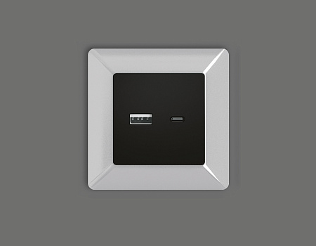 Лицевая панель для розетки 2USB тип A+C QUANT Ambrella Volt ALFA AP8110