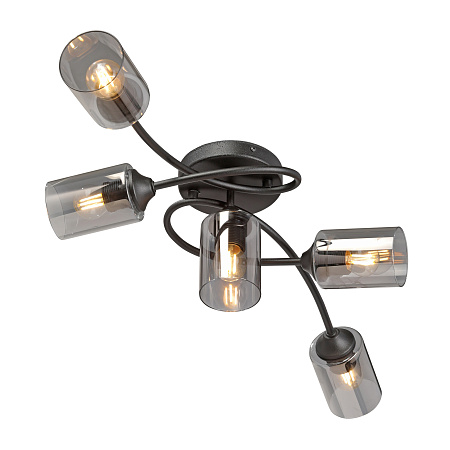 Люстра потолочная Vitaluce V2048-1/5PL Люстра потолочная Vitaluce V2048-1/5PL