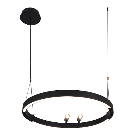 Люстра подвесная светодиодная F-Promo Slinga 4474-1P Люстра подвесная светодиодная F-Promo Slinga 4474-1P