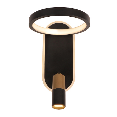 Спот светодиодный Arte Lamp TOLIMAN A2613AP-2BK