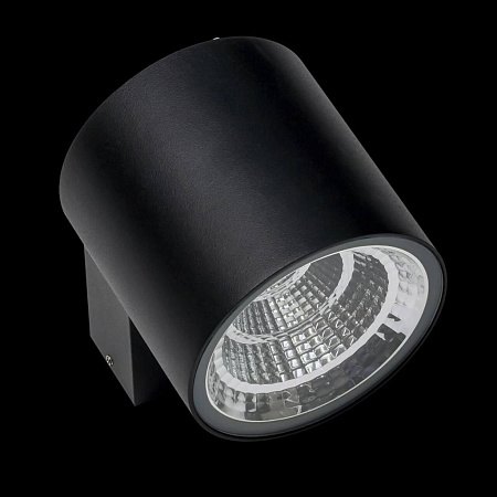Уличный настенный светильник Lightstar Paro 361674