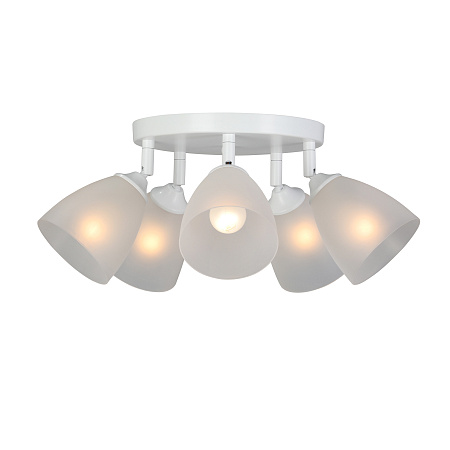 Люстра потолочная Vitaluce V4355-0/5PL Люстра потолочная Vitaluce V4355-0/5PL