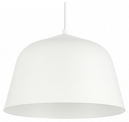 Светильник подвесной Evoluce Blank SLE1805-503-01