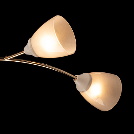 Люстра потолочная MW-Light Восторг 242018006 Люстра потолочная MW-Light Восторг 242018006