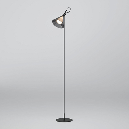 Торшер Eurosvet Enigma 01187/1 черный a069053 Торшер Eurosvet Enigma 01187/1 черный a069053