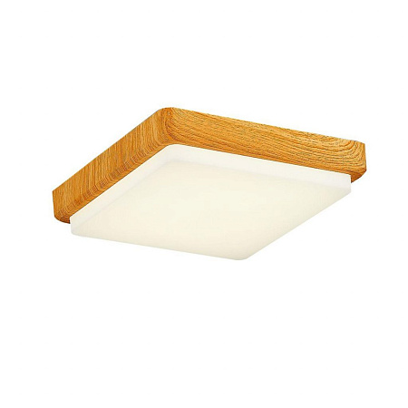 Потолочный светодиодный светильник Evoluce Taddio SLE200202-01 Потолочный светодиодный светильник Evoluce Taddio SLE200202-01