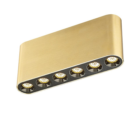 Светильник потолочный светодиодный Odeon Light SMALL 7093/15CL