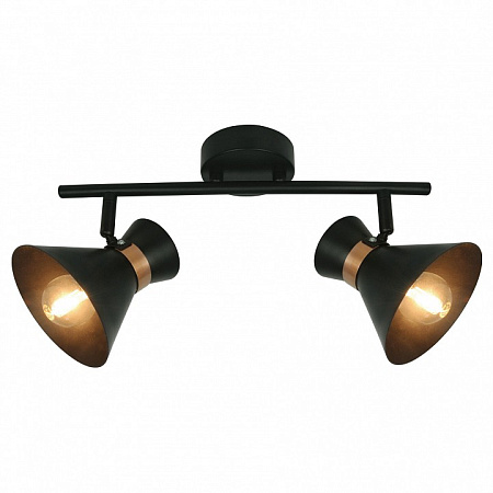 Спот Arte Lamp Baltimore A1406AP-2BK Спот Arte Lamp Baltimore A1406AP-2BK