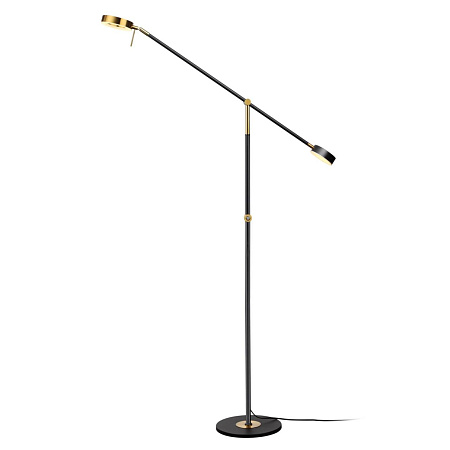 Торшер светодиодный Odeon Light DENZEL 4321/20FL