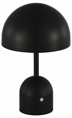 Настольная лампа светодиодная Evoluce Eclat SLE1806-404-01 Настольная лампа светодиодная Evoluce Eclat SLE1806-404-01