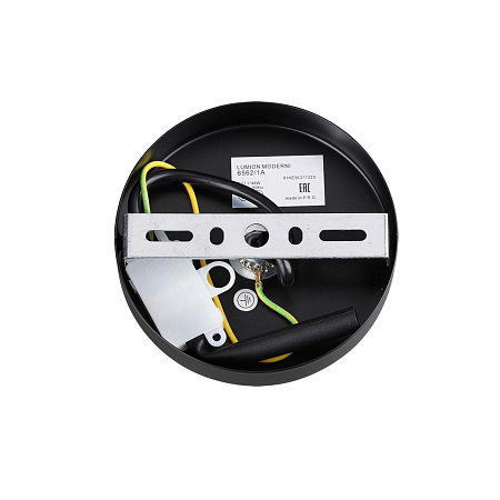 Светильник подвесной Lumion ICE 6562/1A