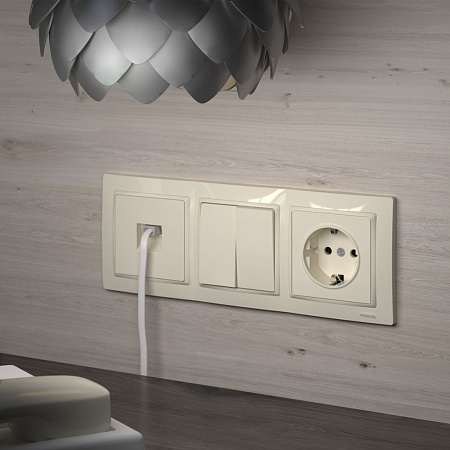Телефонная розетка RJ-11 слоновая кость Werkel W1182003 4690389155888 a051492