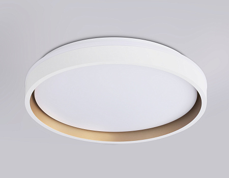 Светильник потолочный светодиодный Ambrella light FZ601