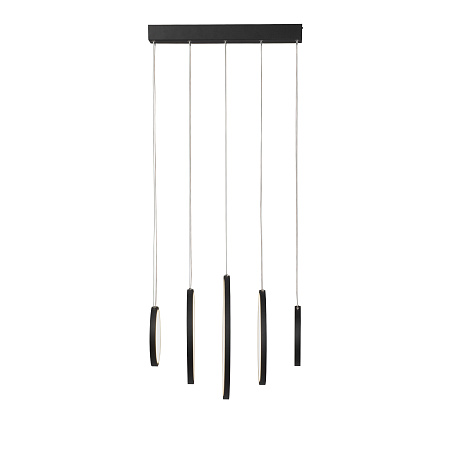 Светильник подвесной светодиодный Vitaluce V2531-1/5S