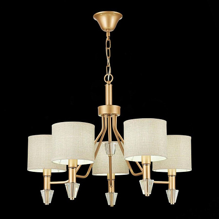 Подвесная люстра Evoluce Vilede SLE107003-05 Подвесная люстра Evoluce Vilede SLE107003-05