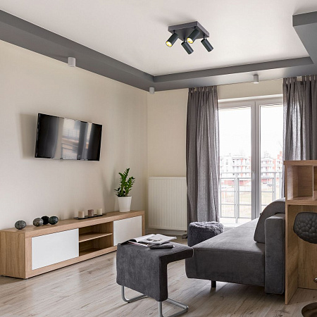 Спот светодиодный Eurosvet Fleur 20066/4 LED черный/золото 00000085110 Спот светодиодный Eurosvet Fleur 20066/4 LED черный/золото 00000085110