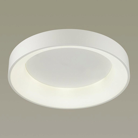 Потолочный светодиодный светильник Odeon Light Sole 4066/40CL