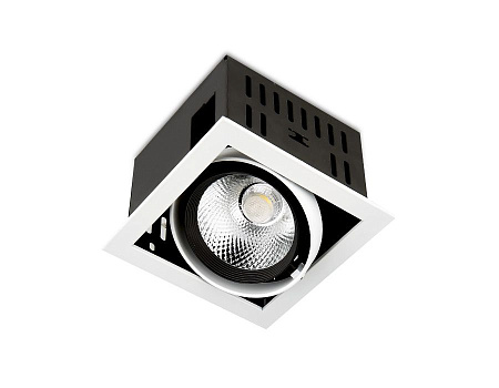 Карданный светодиодный светильник Ambrella Light Techno T811 BK/CH 12W 4200K