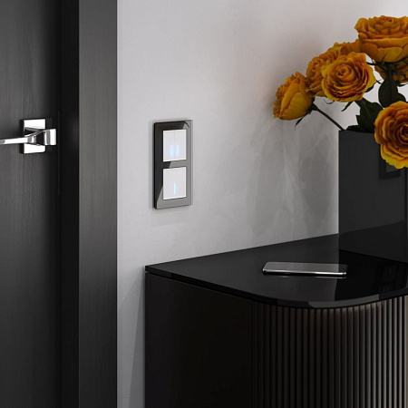 Сенсорный выключатель двухклавишный с подсветкой 1000 Вт Werkel W4520001 a057677 Сенсорный выключатель двухклавишный с подсветкой 1000 Вт Werkel W4520001 a057677