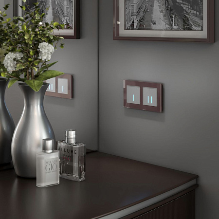 Сенсорный выключатель двухклавишный с функцией Wi-Fi Werkel a048324 a048324 Сенсорный выключатель двухклавишный с функцией Wi-Fi Werkel a048324 a048324