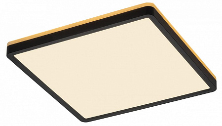 Светильник потолочный светодиодный Citilux Norma CL748K301 Светильник потолочный светодиодный Citilux Norma CL748K301