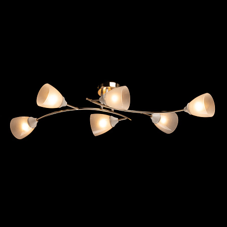 Люстра потолочная MW-Light Восторг 242018006 Люстра потолочная MW-Light Восторг 242018006