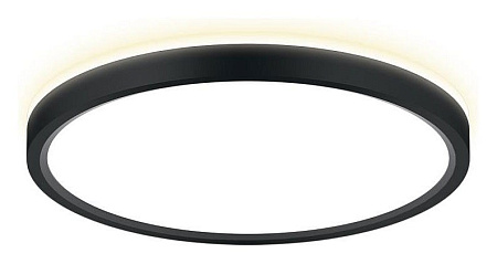 Светильник настенно-потолочный светодиодный Citilux NORMA CL748241