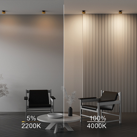 Светильник встраиваемый светодиодный Maytoni Onda DL024-12W-DTW-BMG Светильник встраиваемый светодиодный Maytoni Onda DL024-12W-DTW-BMG