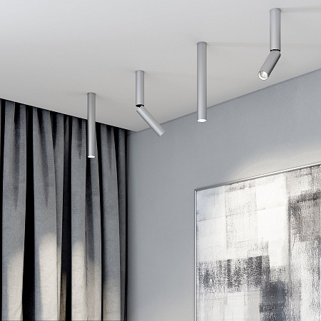 Спот светодиодный Elektrostandard Pika 25029/LED серебро a061111