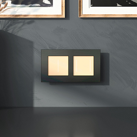 Рамка на 2 поста Werkel AluMax черный алюминий W0023508 a066330 Рамка на 2 поста Werkel AluMax черный алюминий W0023508 a066330